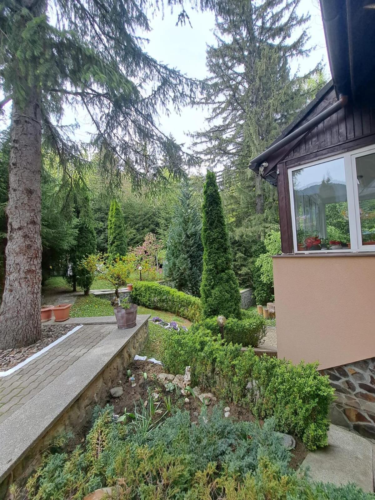 Pensiunea Colina Poiana Brașov Exterior foto