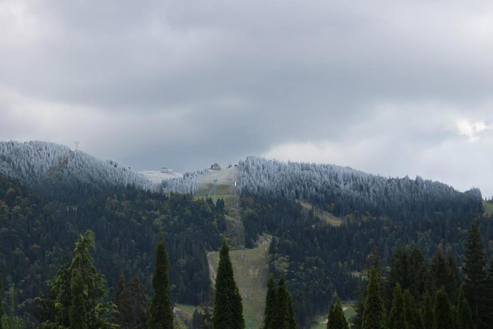 Pensiunea Colina Poiana Brașov Exterior foto