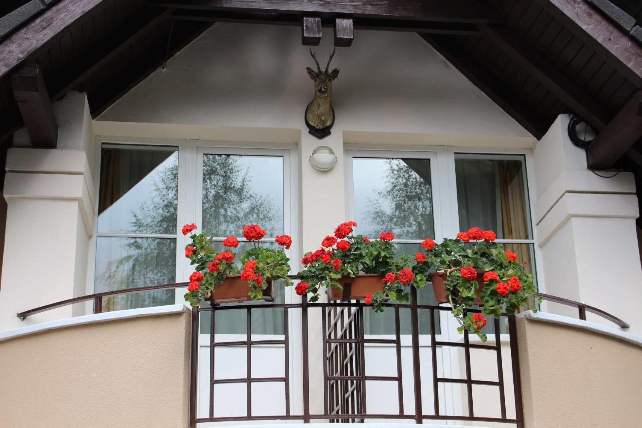 Pensiunea Colina Poiana Brașov Exterior foto
